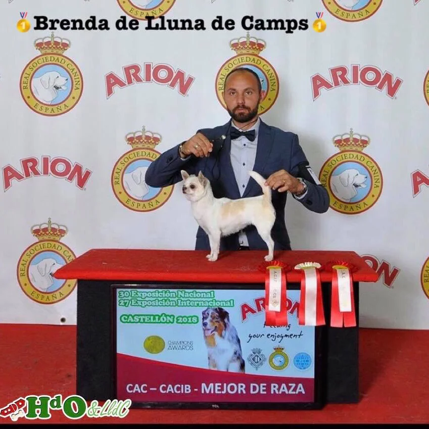 Brenda Lluna de Camps