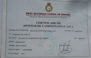 Bvlgari de Herederos del Olimpo 1