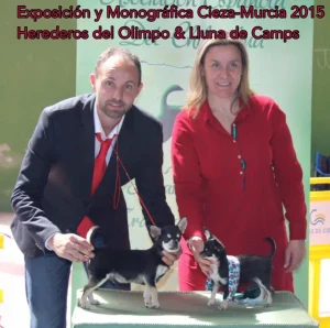Monográfica Murcia Cieza 2015 2