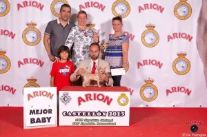 Show Castellón 2015