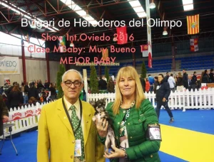 Show Int. Oviedo 2016 1