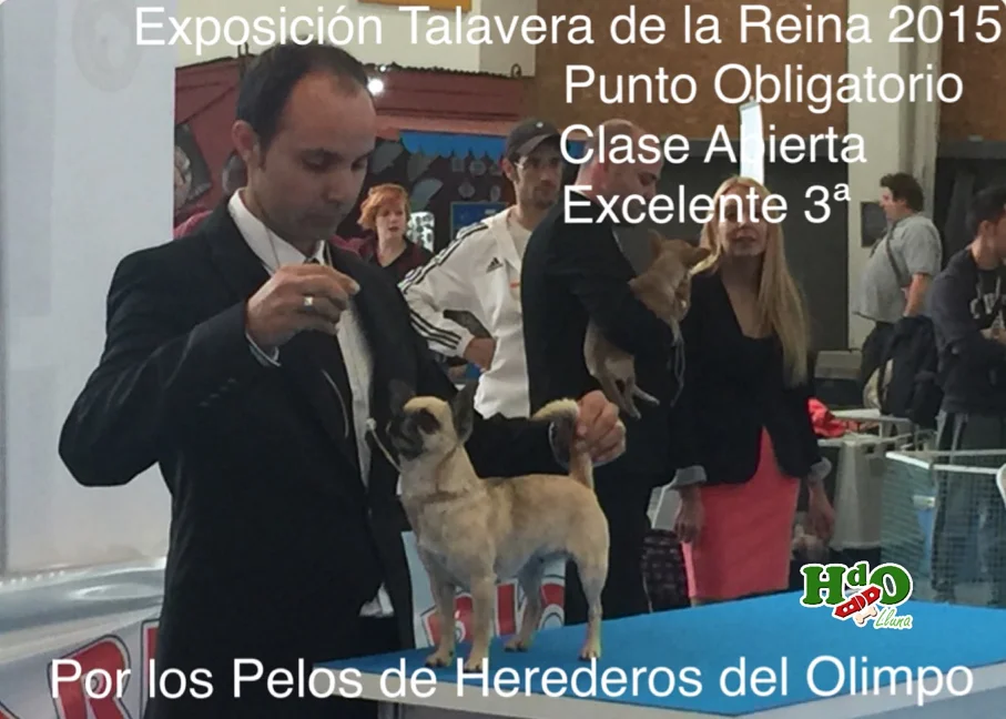 Show Talavera de la Reina 2015 1