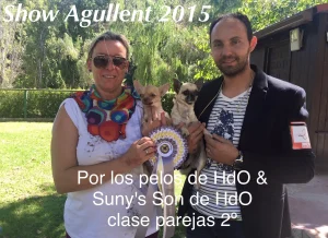 Show Valencia (Agullent) 2015 1