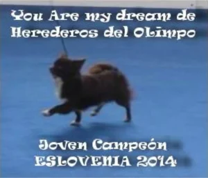 You Are My Chocolate Dream de Herederos del Olimpo. Italia 1